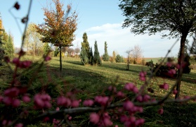 Arboretum