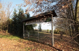 Arboretum