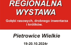 Regionalna wystawa gołębi rasowych, drobiu ozdobnego i królików